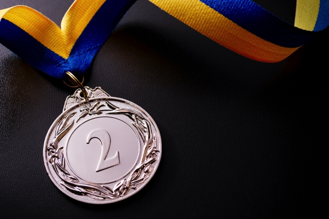 shutterstock_245422405 copy