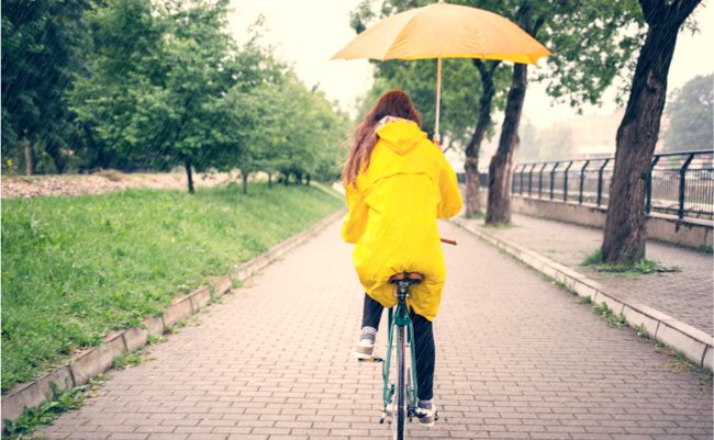 自転車、ジャンクハンター、警察